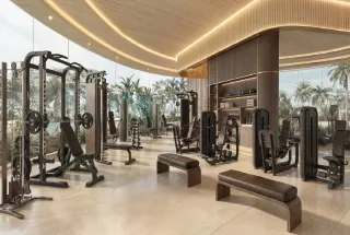 Gymnasium at Danube Serenz